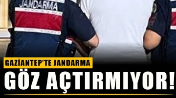 Gaziantep'te Jandarma, göz açtırmıyor!