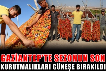Gaziantep'te sezonun son kurutmalıkları güneşe bırakıldı